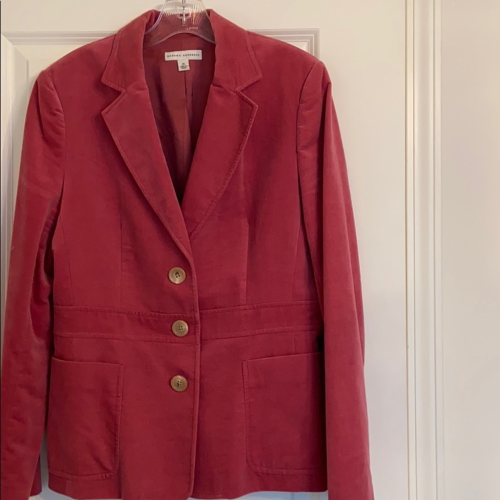 Banana Republic pink velvet blazer Size 14